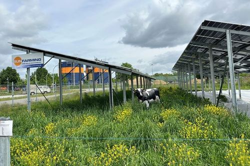 Últimas notícias da empresa sobre Relatório: A UE deve implementar políticas para definir e apoiar a energia solar inclusiva da natureza